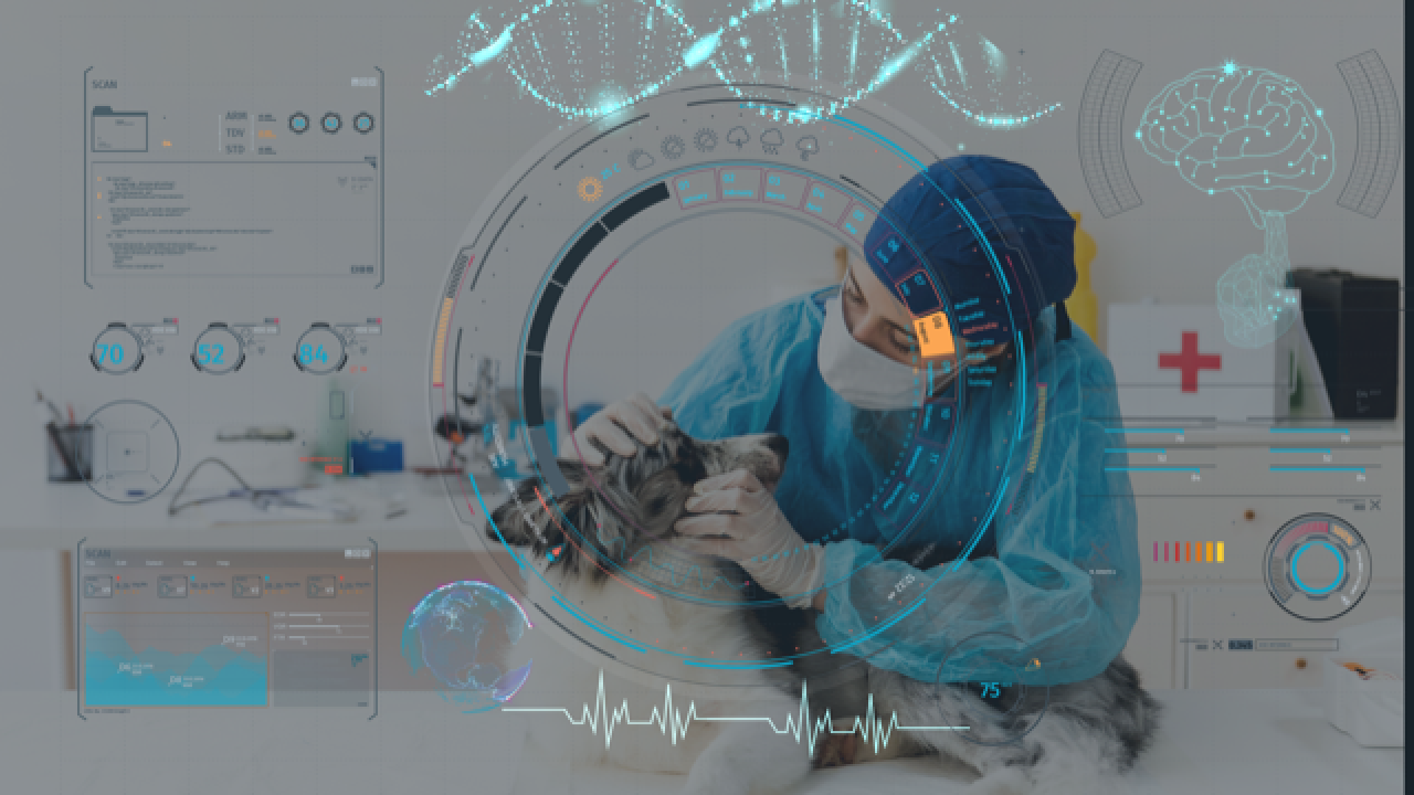 high tech image of veterinarian with dog