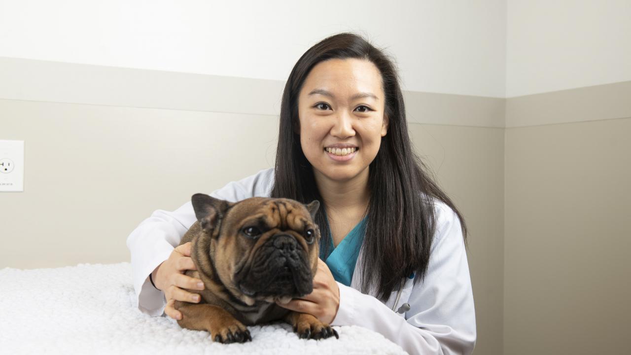 Dr. Karen Park, a surgery resident, performed a neurosurgery at the UC Davis veterinary hospital that allowed Barley to walk again.