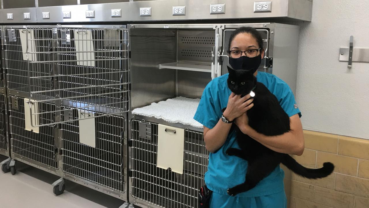 UC Davis veterinary technician holding a cat in the new feline suite
