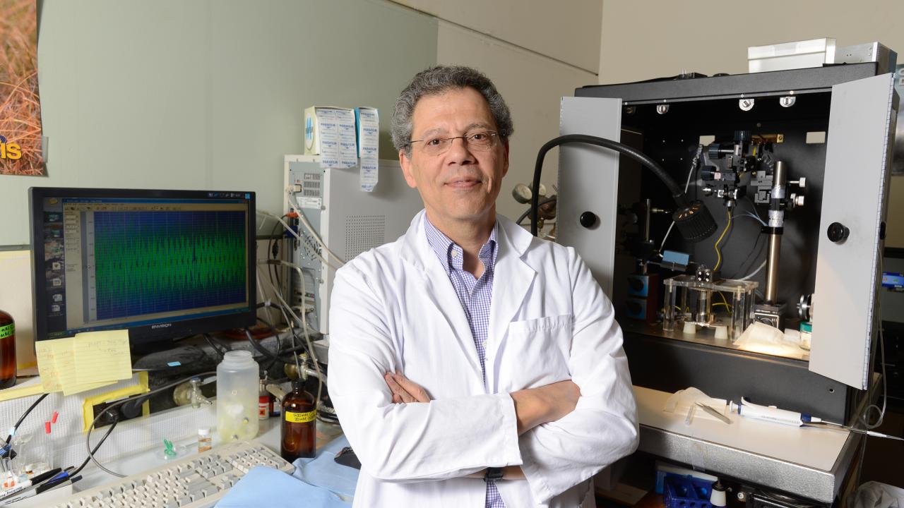 Dr. Isaac Pessah in his lab.