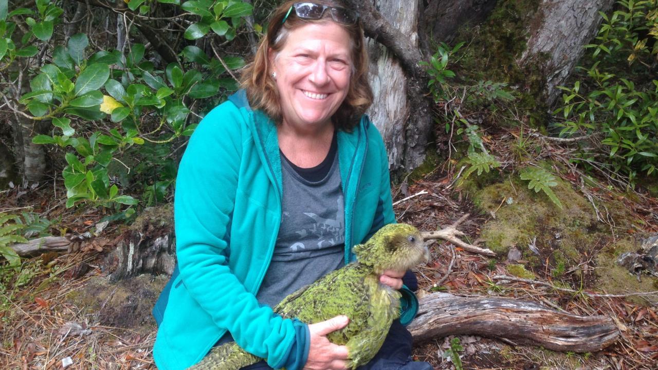 UC Davis veterinarian Joanne Paul-Murphy with kakapo parrot