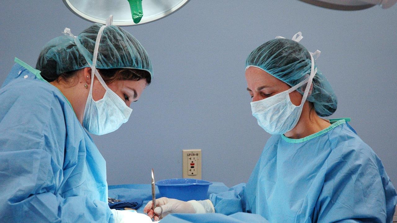 Dr. Amy Kapatkin (right) performs an orthopedic surgery at the UC Davis veterinary hospital. Dr. Amy Kapatkin