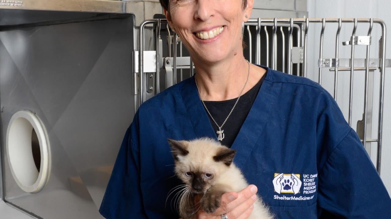Dr. Kate Hurley is a pioneer in shelter medicine.