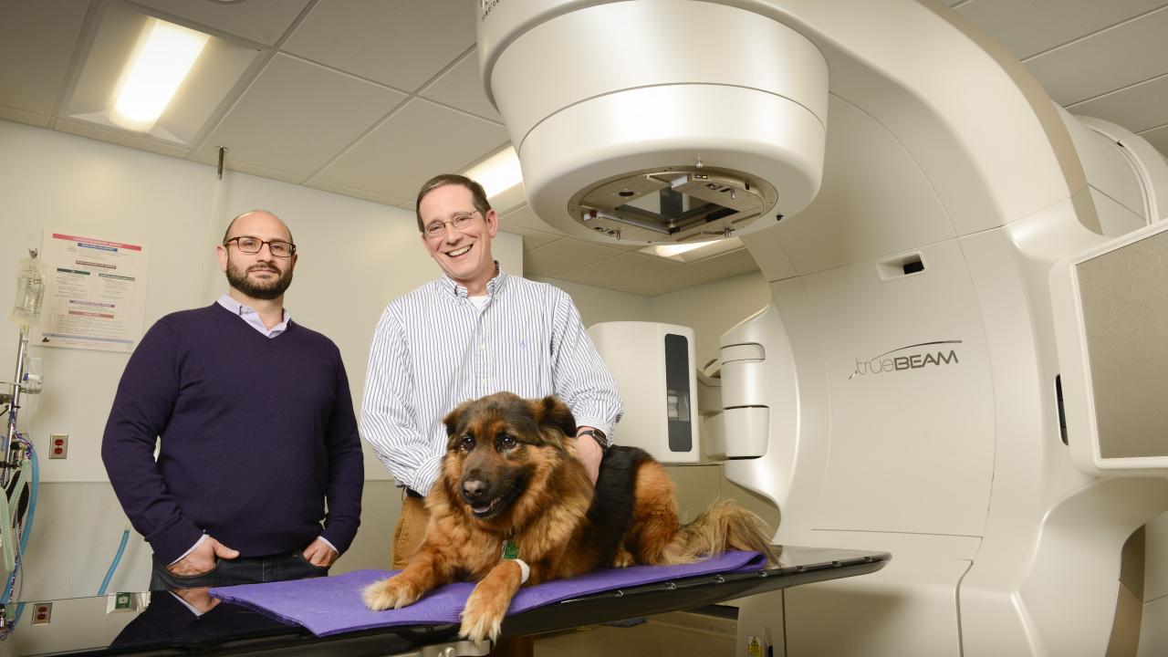 Veterinary radiology oncologist Dr. Michael Kent (right) with Dr. Arta Monjazeb, associate professor in the UC Davis Comprehensive Cancer Center’s Department of Radiation Oncology. 
