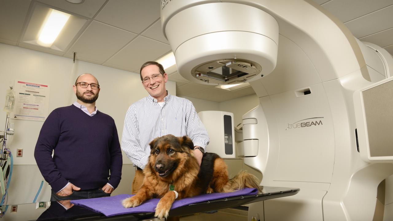 Drs. Arta Monjazeb and Michael Kent with a dog.