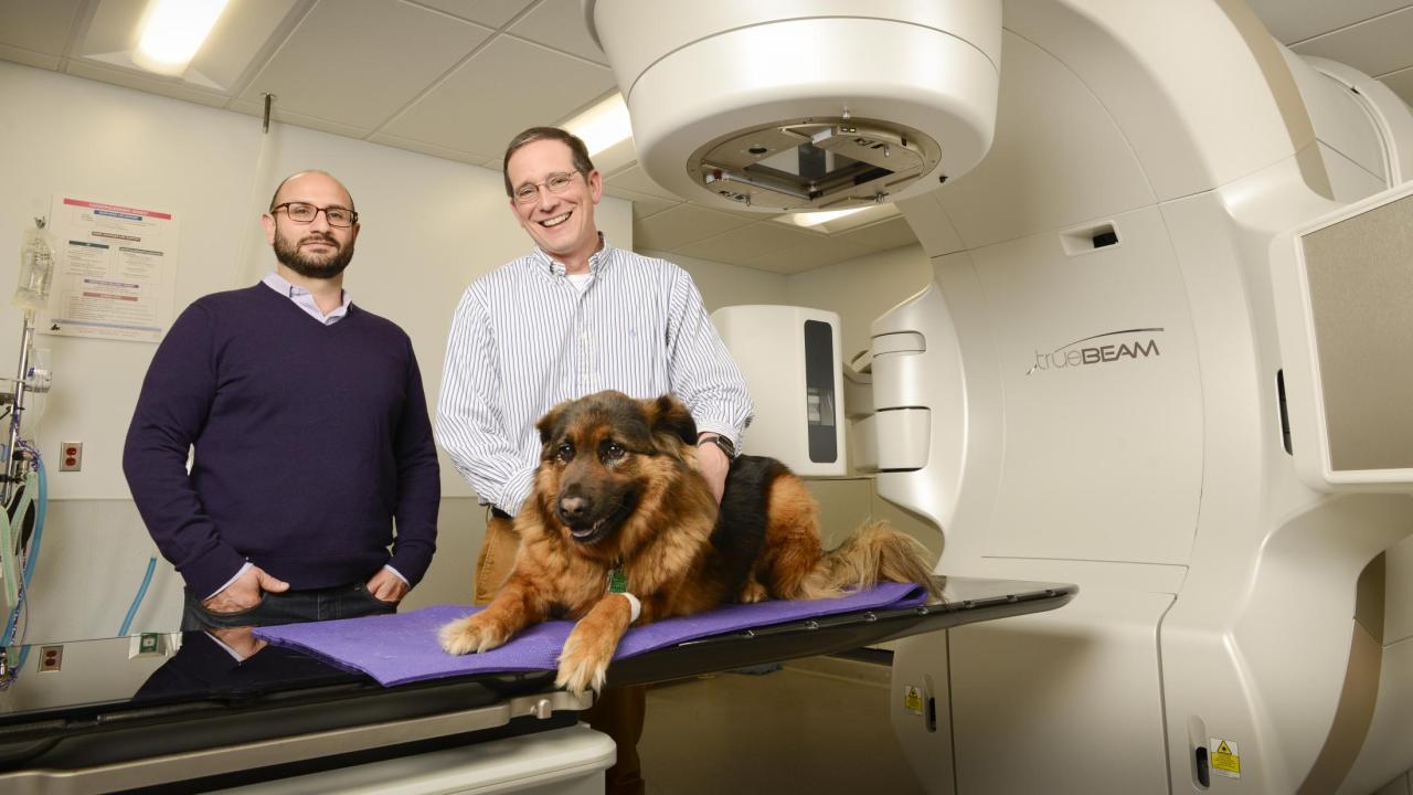 Drs. Arta Monjazeb and Michael Kent with a dog.