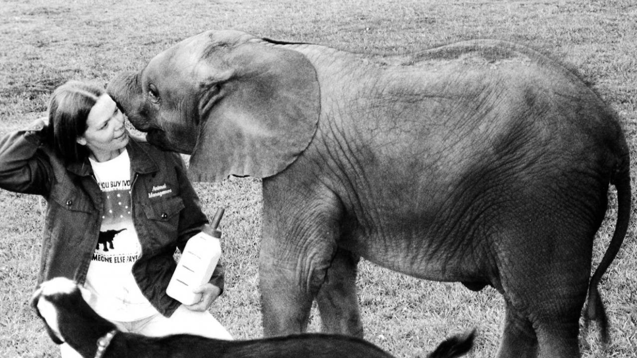 Dr. Jackie Gai and baby elephant