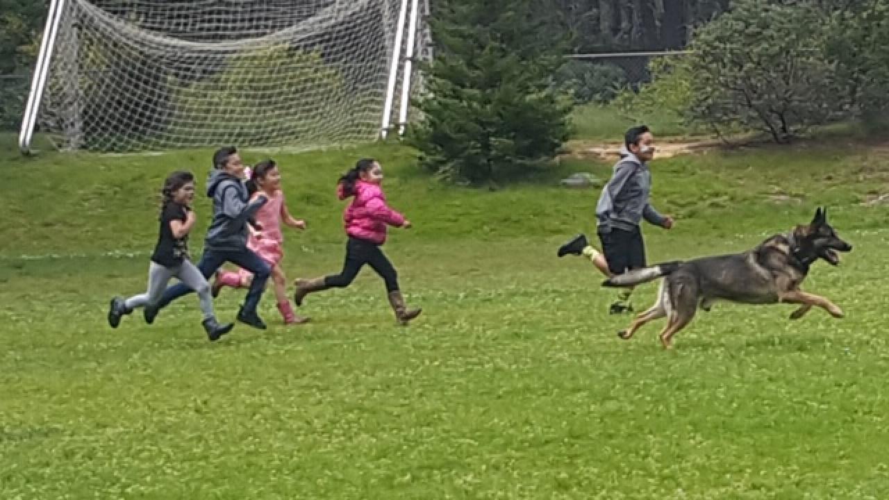 children running with dog