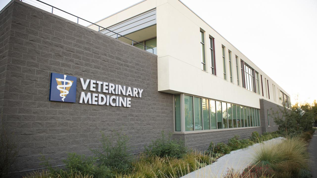 vet med admin building