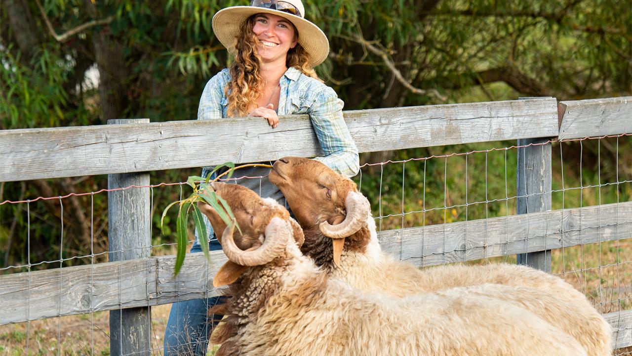 Snazzy Duckworth with her new Awassi sheep.