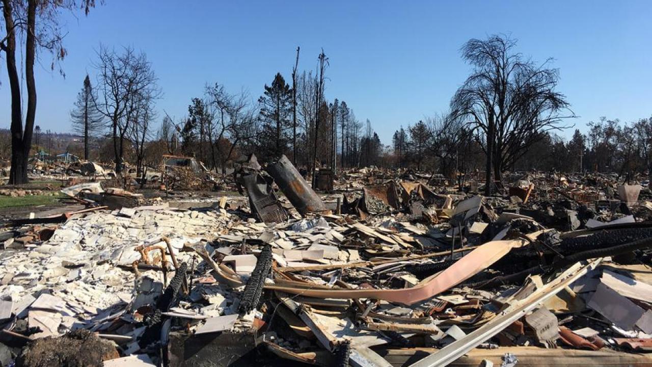 Graduate student Gabrielle Black and Professor Tom Young have collected samples of ash from both wild lands and residential areas destroyed in the 2017 fires in Sonoma. They are looking for new chemicals formed when household items from cleaning chemicals to laptop computers are incinerated at high temperature. (Gabrielle Black/UC Davis) fire ash and debris