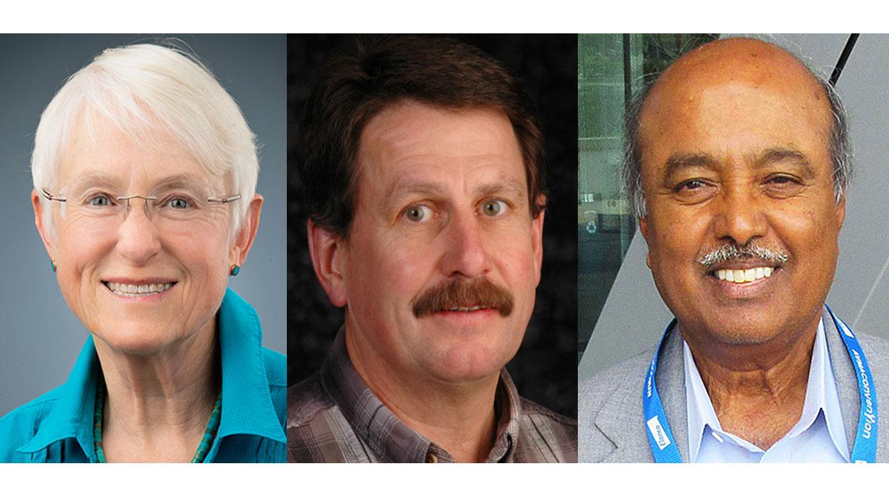 Drs. Linda Lowenstine, James MacLachlan and Dr. H. L. Shivraprasad 