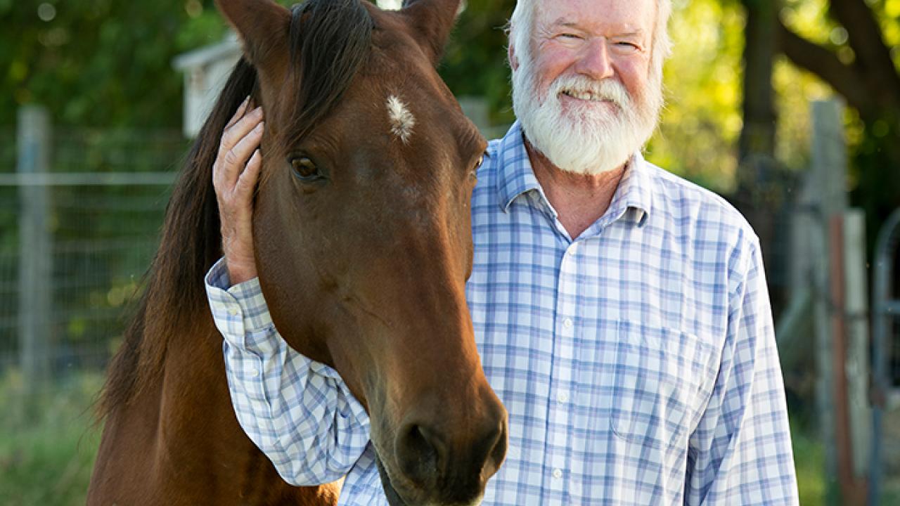 Easy, a 19-year-old Missouri Fox Trotter gelding