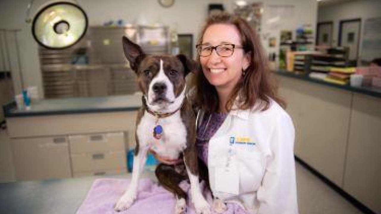 The UC Davis veterinary hospital has launched a free monthly series of public educational lectures.