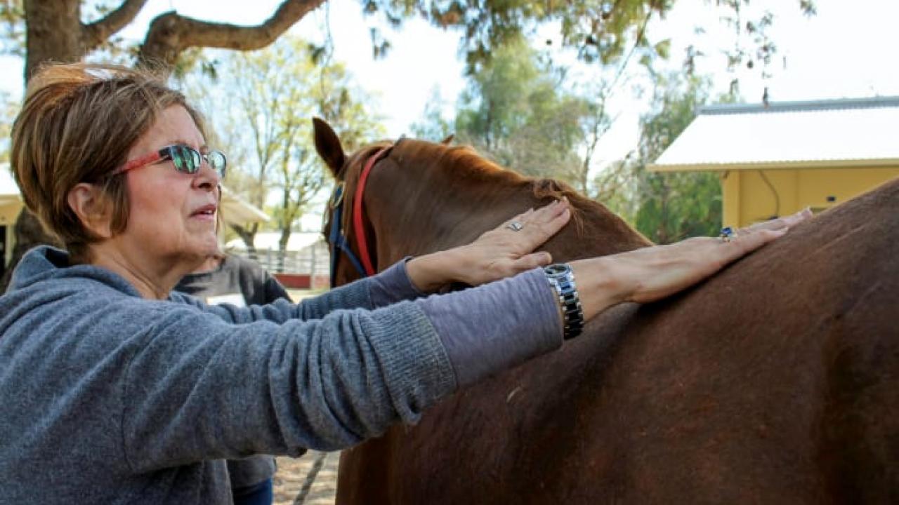 Dementia patient grooming horse