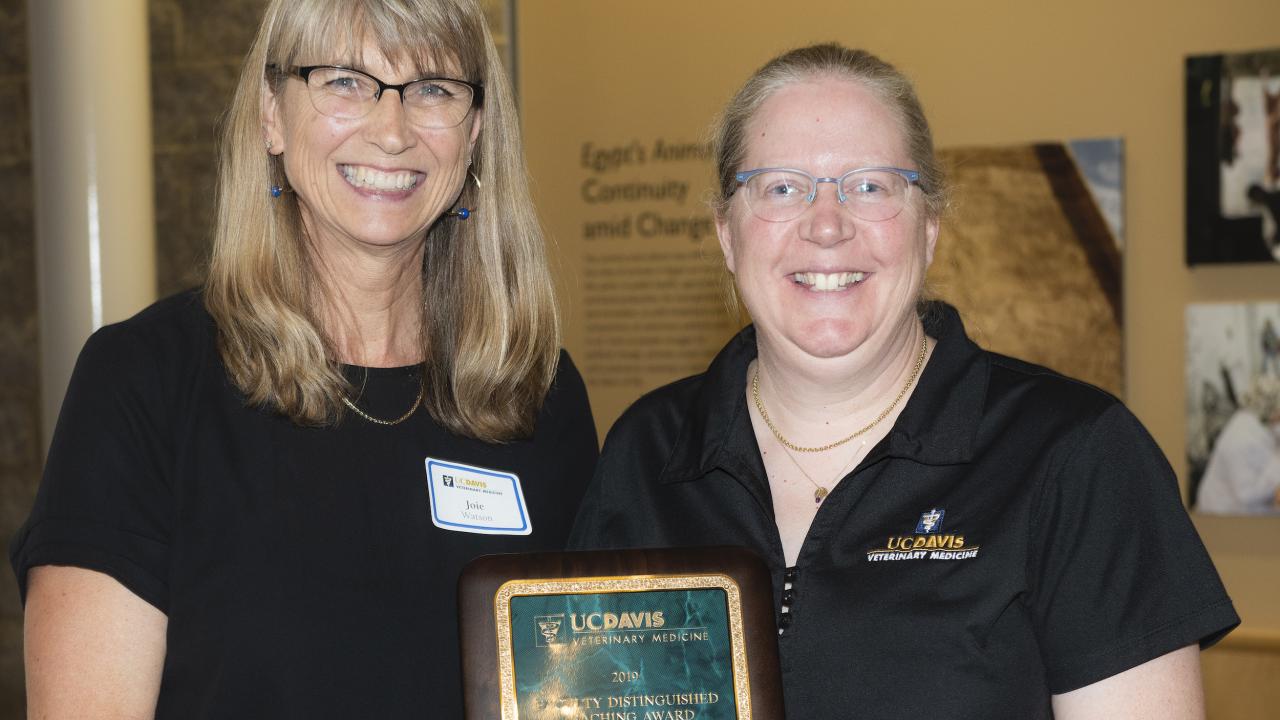 Dr. Kate Hopper (right) receives her award from Dr. Joie Watson.
