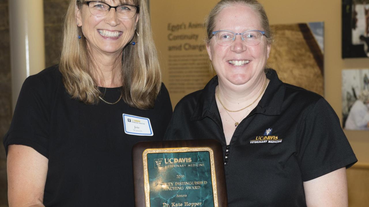 Dr. Kate Hopper (right) receives her award from Dr. Joie Watson.