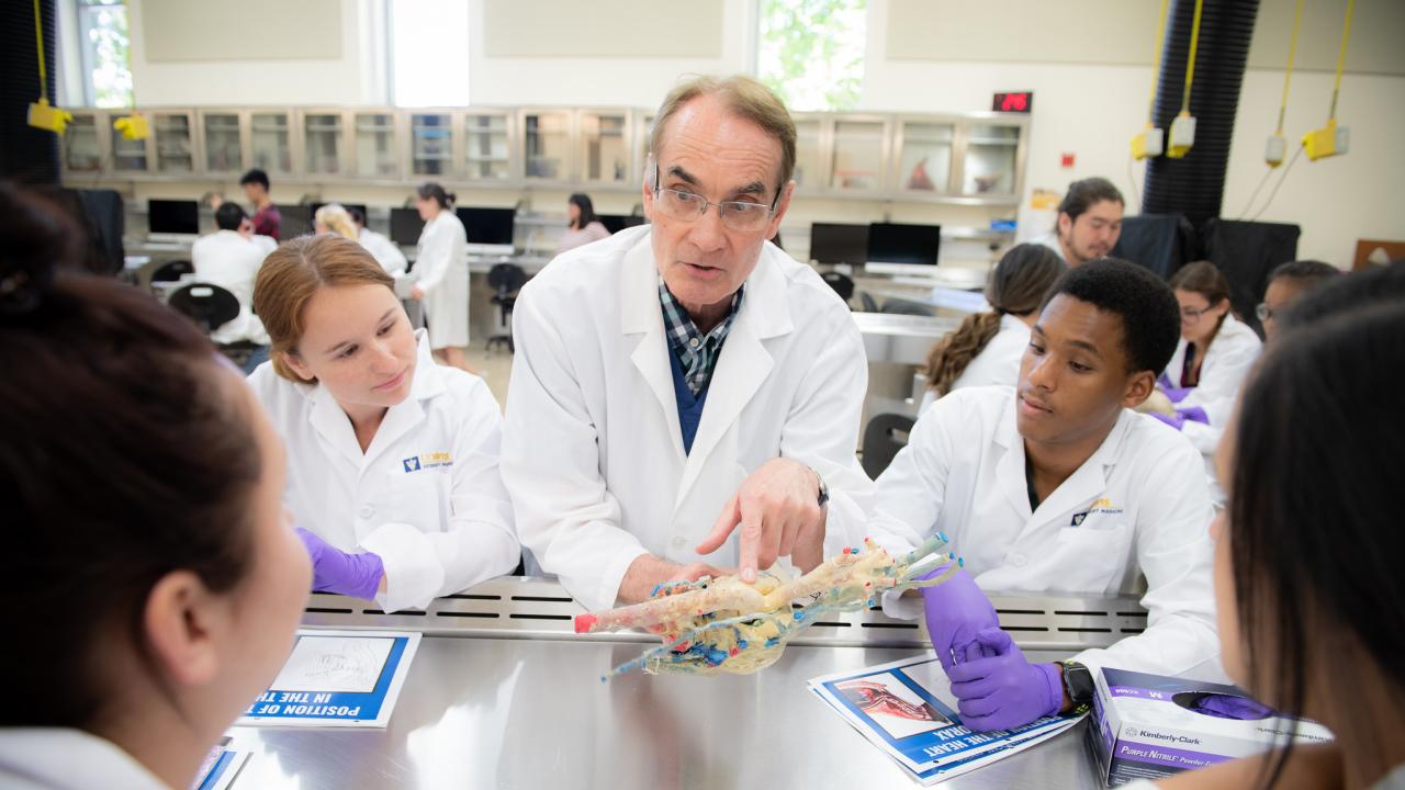 Dr. Kent E. Pinkerton, Professor of Anatomy, Physiology and Cell Biology, teaches an anatomy lab to participants of the Summer Enrichment Program (SEP) using heart specimens preserved by plastination in the anatomy laboratory at the University of California School of Veterinary Medicine. Dr. Kent E. Pinkerton, Professor of Anatomy, Physiology and Cell Biology, teaches an anatomy lab to participants of the Summer Enrichment Program (SEP) using heart specimens preserved by plastination in the anatomy laboratory at the University of California School of Veterinary Medicine.