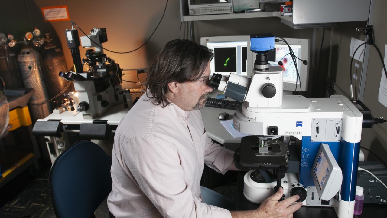 Stuart Meyers at microscope