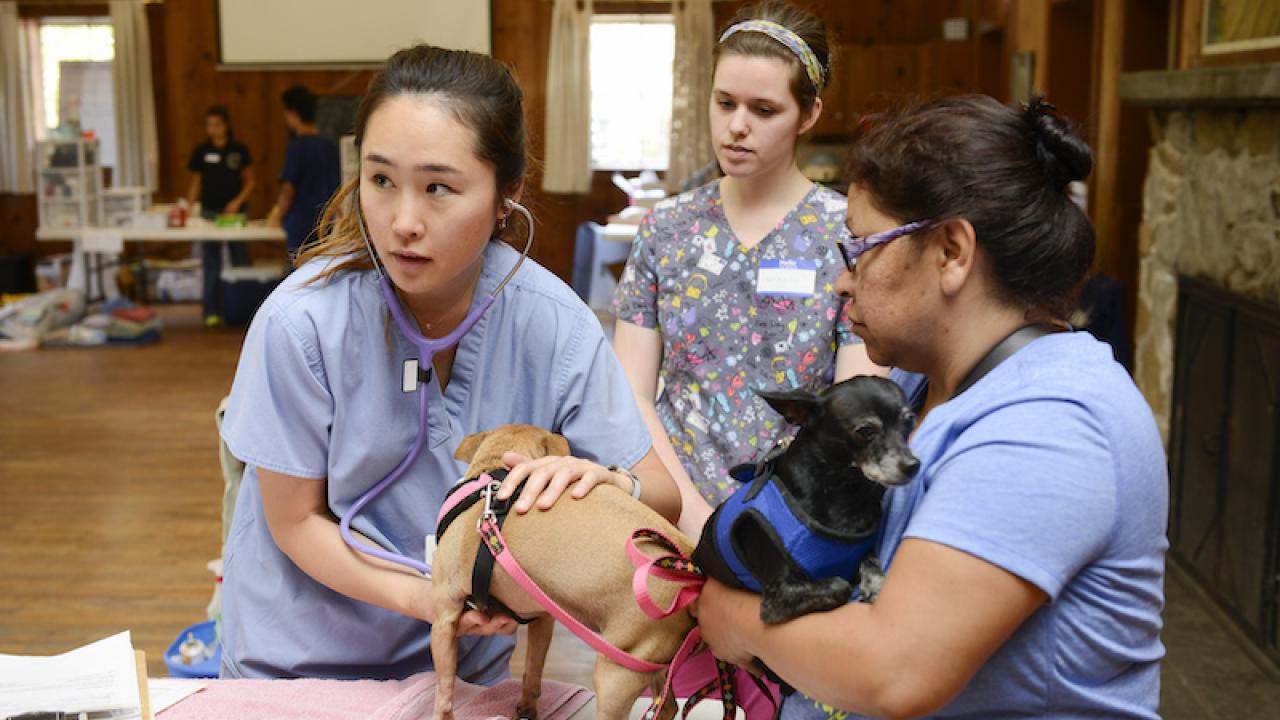 UC Davis personnel associated with the Knights Landing One Health Center with a client and two dog patients