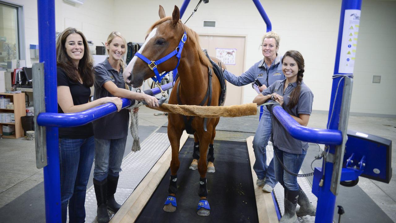 Heather Knych with horse