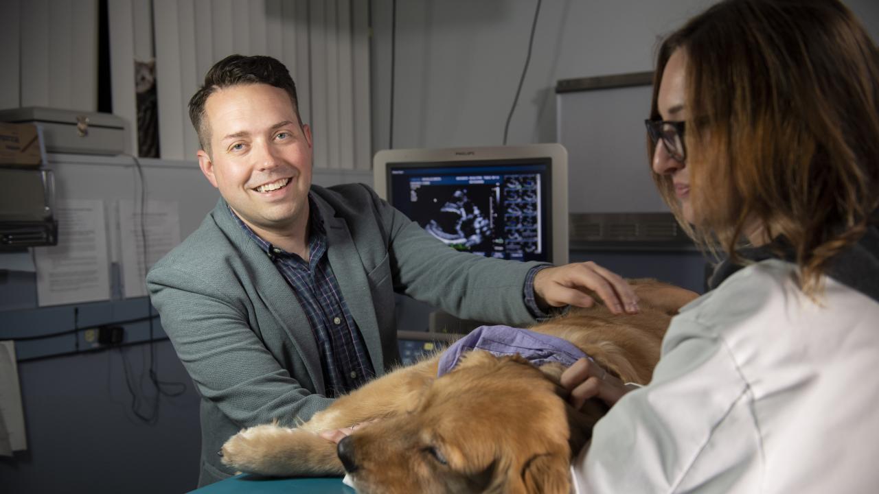 Joshua Stern Examining Dog