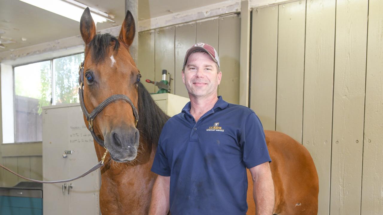 Shane Westman in the UC Davis Farrier Shop standing alongside a horse