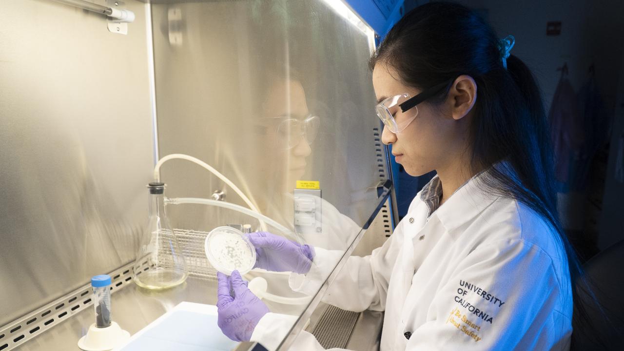 Veterinarian working in a laboratory