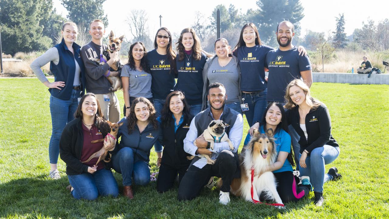 group of students and dogs