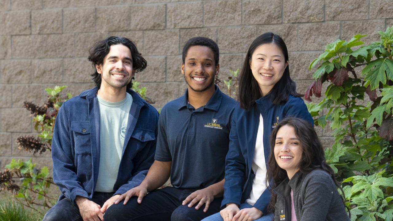 group of four students