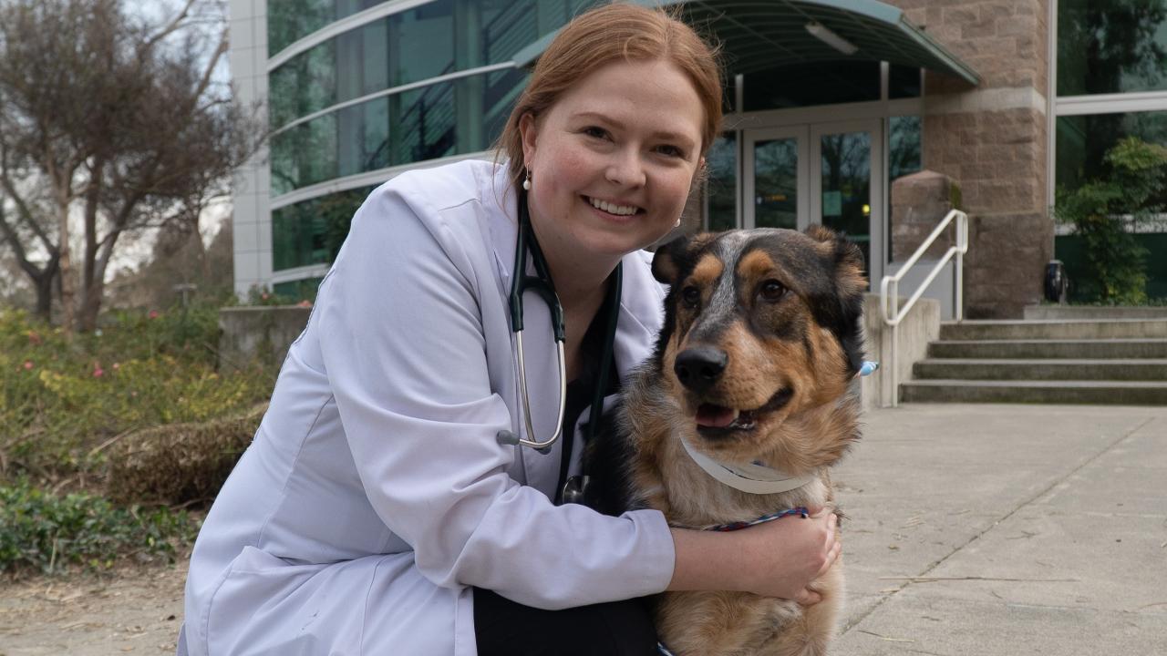 veterinarian with dog