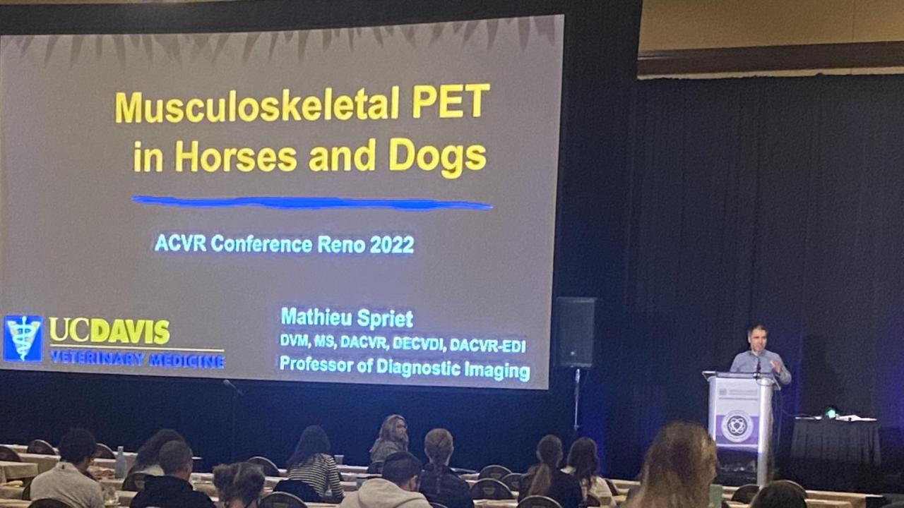 Dr. Mathieu Spriet presents research at the 2022 American College of Veterinary Radiology annual meeting.