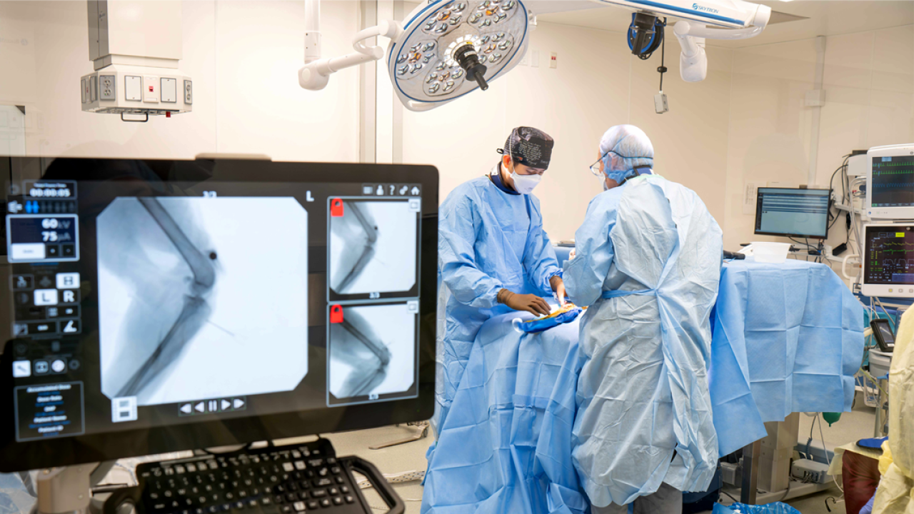 Two surgeons performing a procedure at the the Advanced Veterinary Surgery Center.