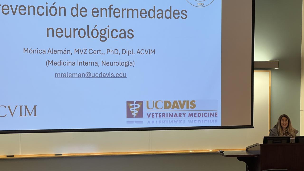 veterinarian lecturing
