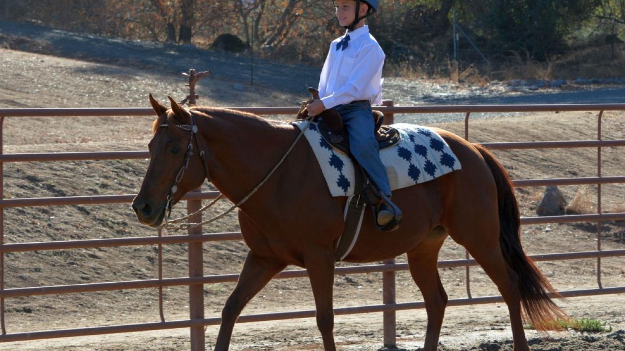 child on horse