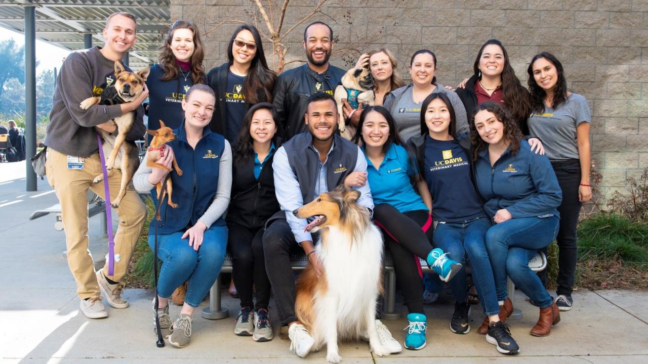 group of UC Davis veterinary students