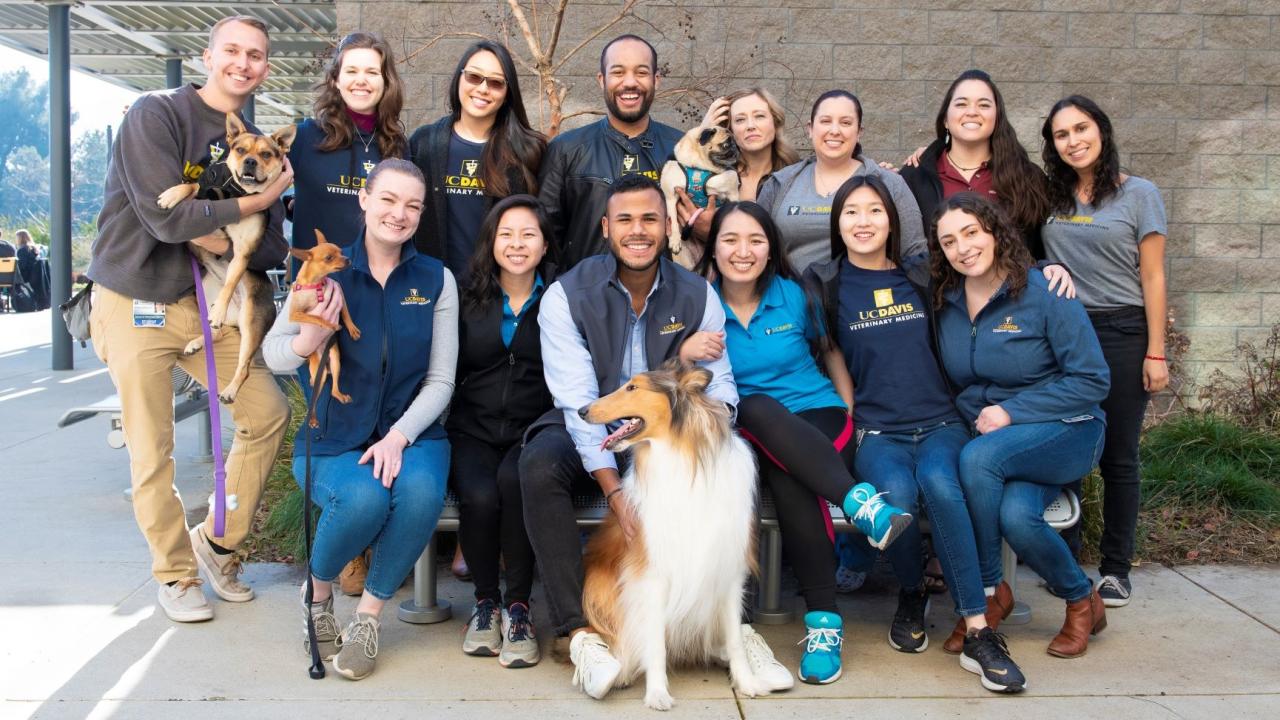 diverse group of veterinary students