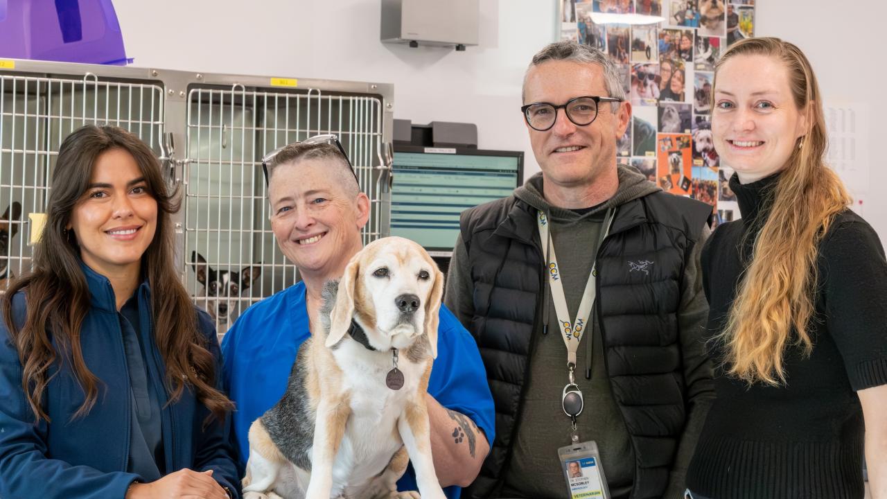 Four veterinary staff smiling behind clinic desk holding small white dog