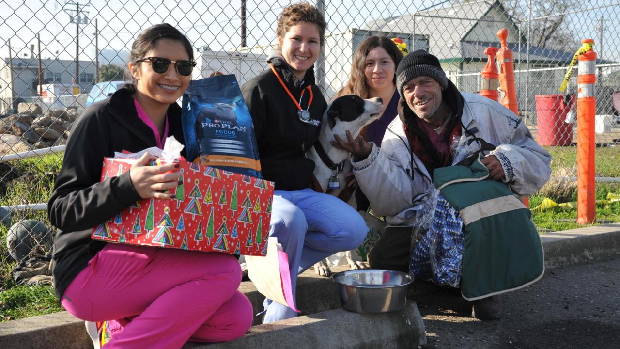 holiday pet basket 