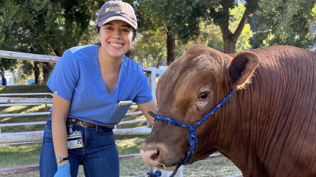 Kimberly Aquirre with bull