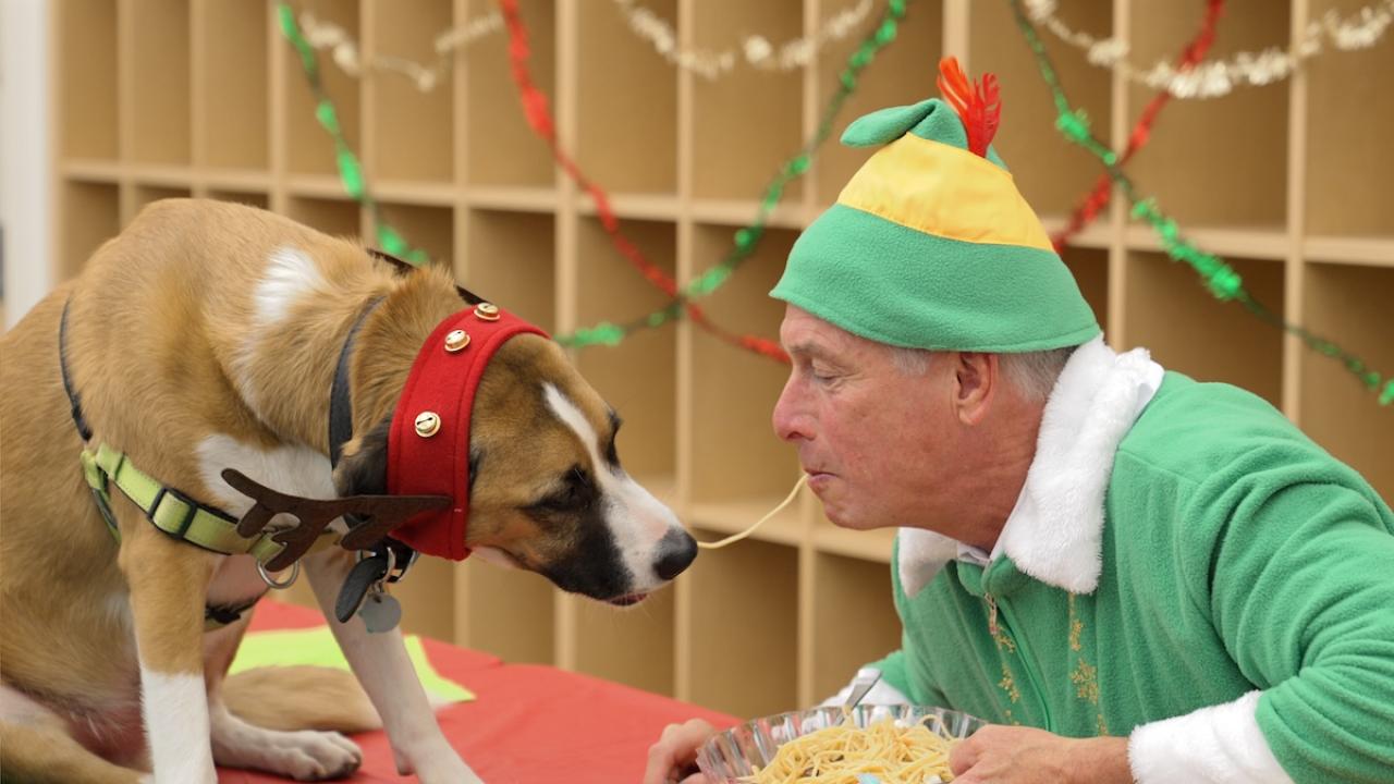 Happy Holidays from Dean Stetter