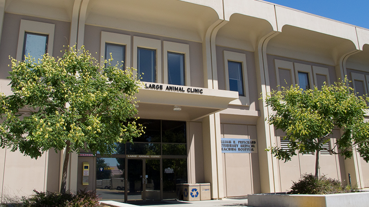 Front of the Large Animal Clinic building