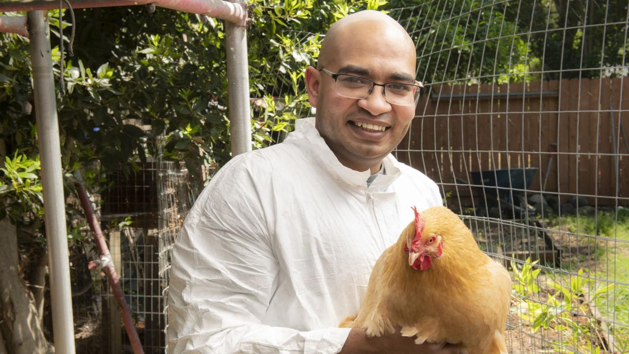 UC Davis MPVM student holding a chicken