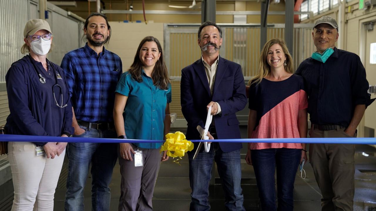 LAC Director Dr. Bret McNabb (with scissors) and equine faculty members celebrate new clinical space.