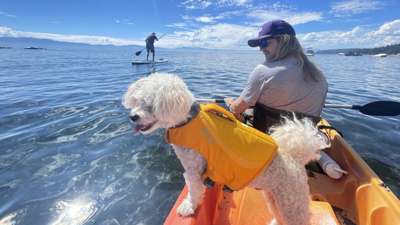dog and owner in kayak on lake