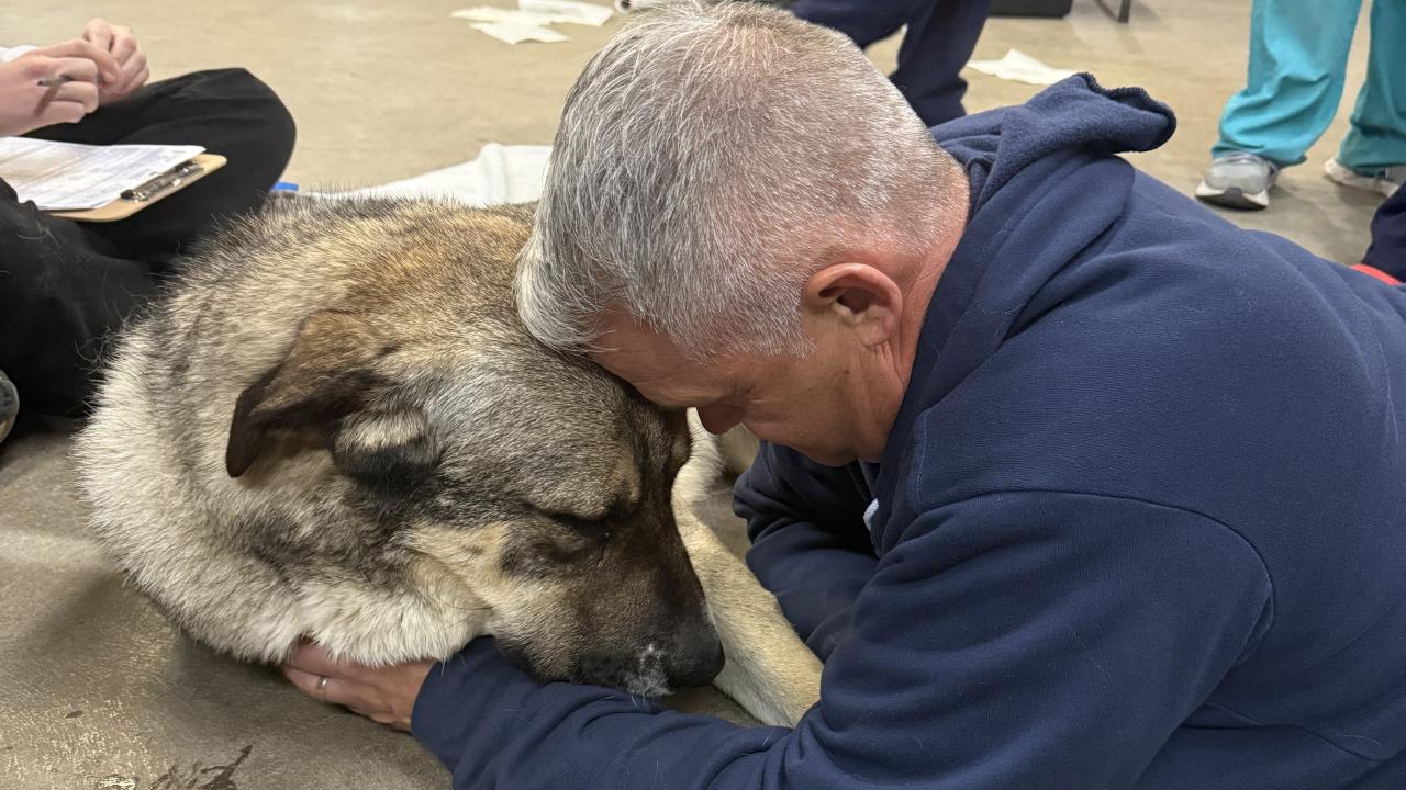 man and dog touching heads in comforting moment
