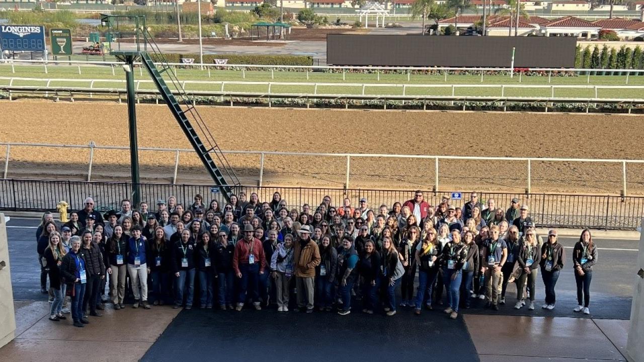 large group of veterinary students at horse track