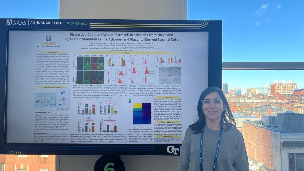 veterinarian with research poster