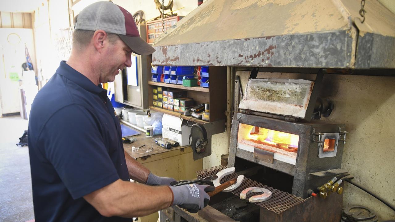 UC Davis farrier Shane Westman molding horseshoes