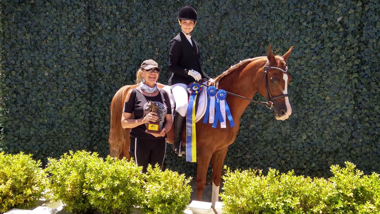 rider on horse with trophies and ribbons displayed